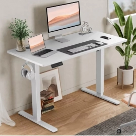 Standing Desk,Adjustable Height Electric Sit Stand Up Down Computer Table,40x24 Inch Ergonomic Rising Desks for Work Office Home